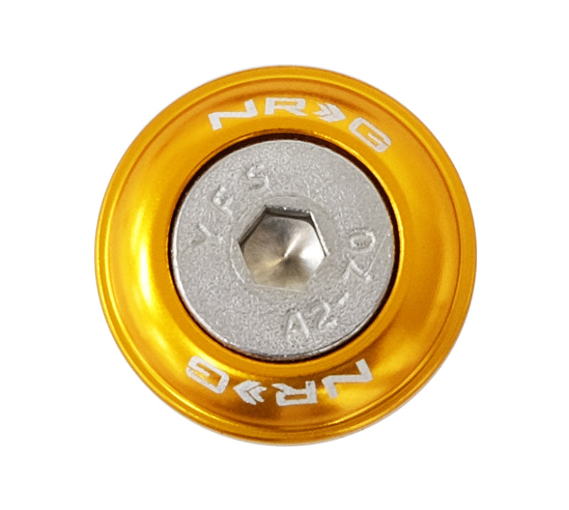 NRG Fender Washer Kit, Set of 10, Rose Gold, Rivets for Plastic FW-100RG Photo - Primary