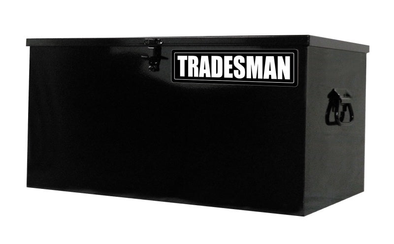 Tradesman Steel Job Site Box/Chest (Light Duty/Small) (24in.) - Black 78024T