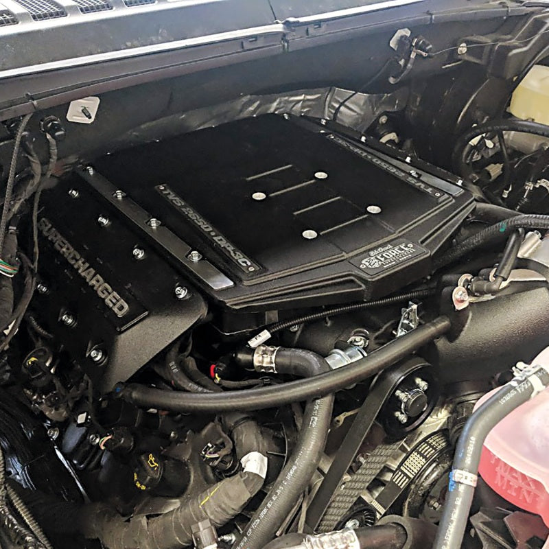 Edelbrock Supercharger Stage I R2650 2019 Ford F150 DI/PI 5.0L 15812 15812 Photo - Unmounted