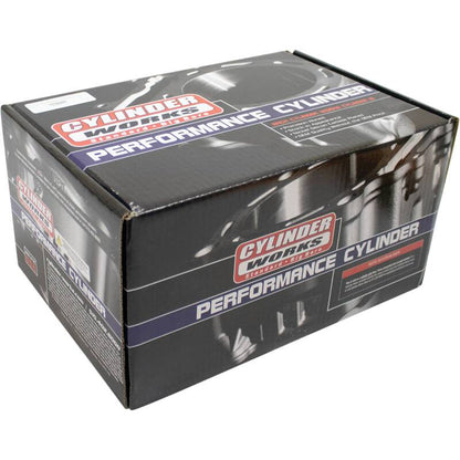 Cylinder Works 2016 Polaris ACE 900 EPS 900cc Big Bore Cylinder 98mm 61004-1 61004-1 Photo - Primary