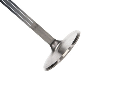 Manley Performance Big Block Chevrolet Severe Duty Valves 11/32" Stem Diameters 11800-8 Photo - Primary