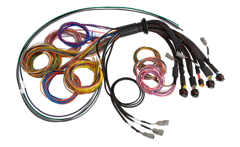 Haltech NEXUS R5 Basic Universal Wire-In Harness HT-185200 HT-185200 Photo - Primary