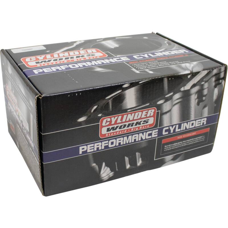 Cylinder Works 17-19 Polaris ACE 900 EPS XC 900cc Big Bore Cylinder 98mm CW61007-1 CW61007-1 Photo - Primary