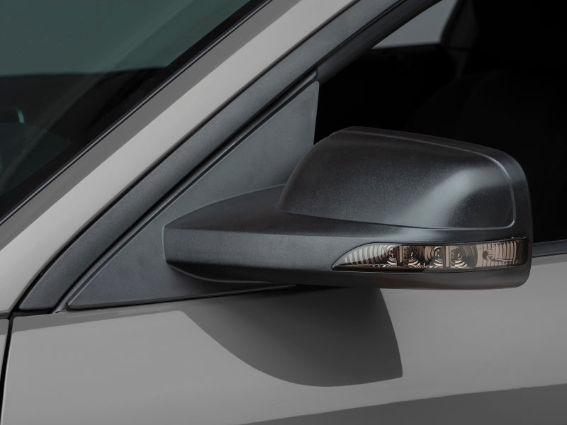 Raxiom 05-09 Ford Mustang Directional Sideview Mirrors 94327 94327 Photo - Primary