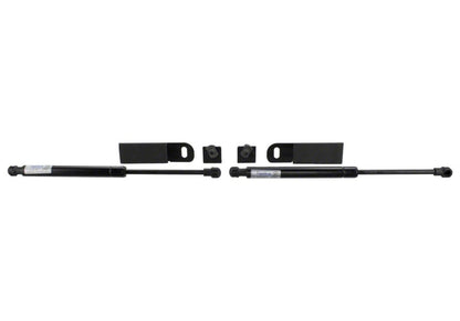 Ford Racing 15-20 GT350 Hood Lift Kit w/Laser Engraved Ford Performance Logo M-16826-GT350 M-16826-GT350 Photo - Unmounted