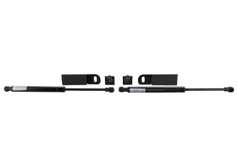 Ford Racing 15-20 GT350 Hood Lift Kit w/Laser Engraved Ford Performance Logo M-16826-GT350 M-16826-GT350 Photo - Unmounted
