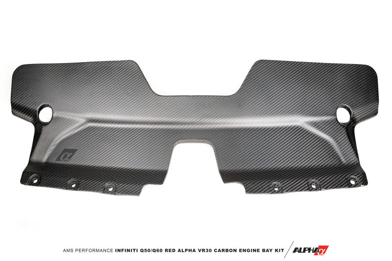 AMS Performance Infiniti 17+ Q60 / 16+ Q50 3.0TT Alpha Matte Carbon Front Duct ALP.28.06.0002-1 ALP.28.06.0002-1 Photo - Primary