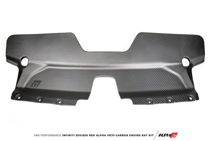 AMS Performance Infiniti 17+ Q60 / 16+ Q50 3.0TT Alpha Matte Carbon Front Duct ALP.28.06.0002-1 ALP.28.06.0002-1 Photo - Primary