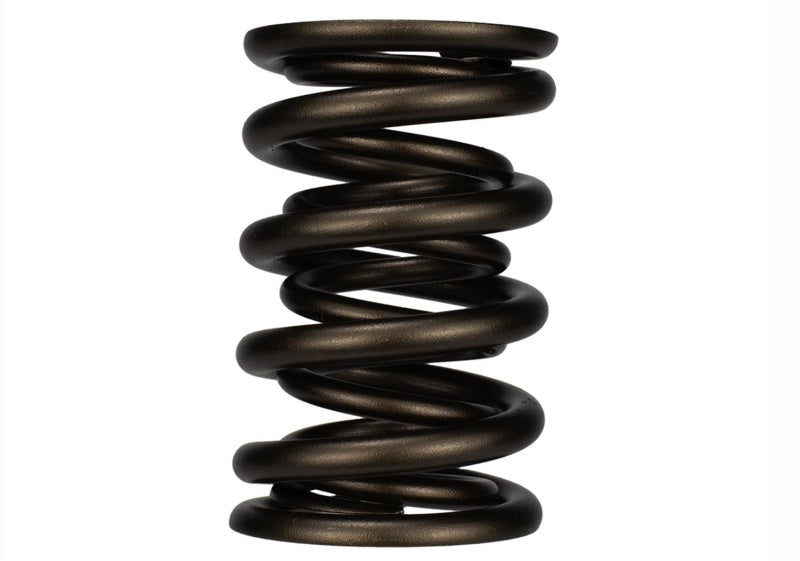 Ford Racing Replacement Valve Springs (TVS-1734) - Set Of 8 M-6513-17348 M-6513-17348 Photo - Unmounted