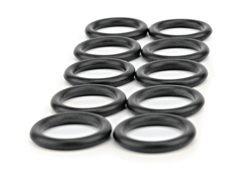 FAST Fuel Injection Fuel Rail O-Ring Kit 30253OR-10 Photo - Primary