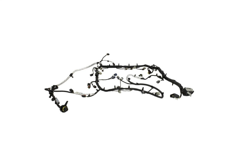 Ford Performance Parts Ford Racing 5.0L Coyote Engine Harness for Automatic Transmission M-12508-M50A Photo - Unmounted