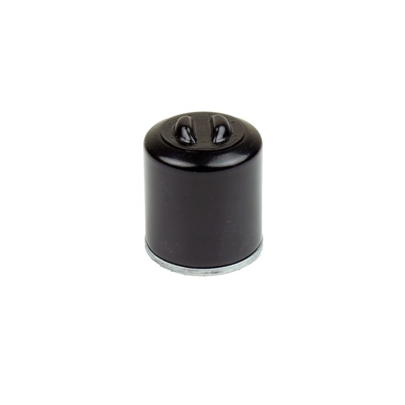 Athena 05-21 Polaris 200 Oil Filter FFP002 FFP002 Photo - Primary