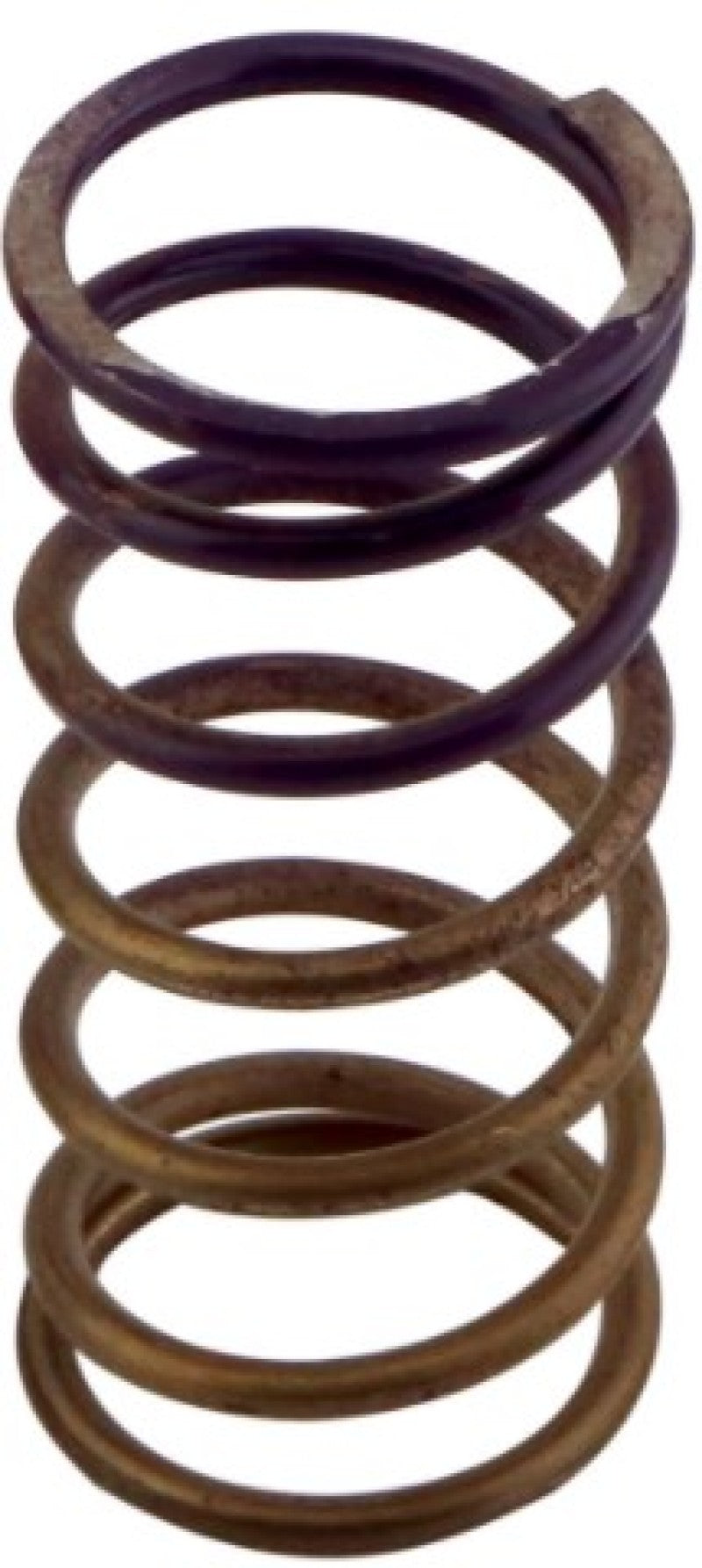 Turbosmart Gen-V WG60 5psi Purple Inner Spring TS-0550-3090 TS-0550-3090 User 1