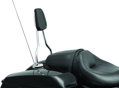 Kuryakyn Sissy Bar For 14-20 Touring 6585 6585 User 1