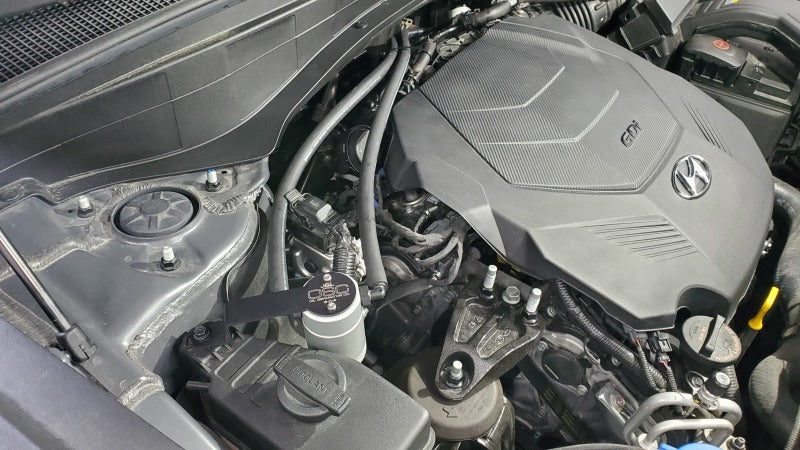 J&L 20-22 Hyundai Palisade / Kia Telluride 3.8L Oil Separator 3.0 Passenger Side - Clear Anodized 3114P-C 3114P-C Photo - Close Up