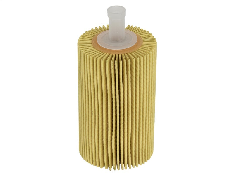 aFe  POWER 44-LF015 Pro GUARD D2 Oil Filter 44-LF015 Photo - Unmounted