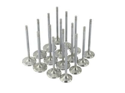 Skunk2 Alpha Series Valves Honda/Acura Stock Size B Series VTEC 310-05-1310 Photo - Unmounted