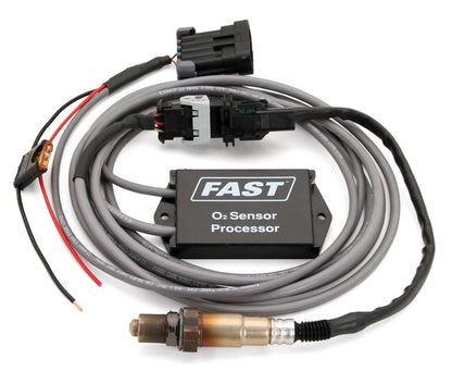 FAST Oxygen Sensor 170579 Photo - Primary