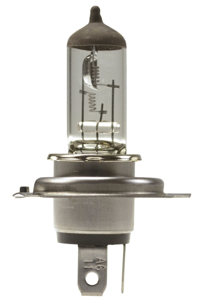 Hella H4 24V 75/70W P43t T4.625 Halogen Bulb (Min Order Qty 10) H4 24V H4 24V Photo - Primary