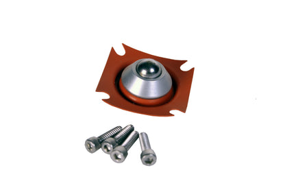 Aeromotive Diaphragm A2000 Repair Kit, Fuel Pump 11001 Photo - Primary