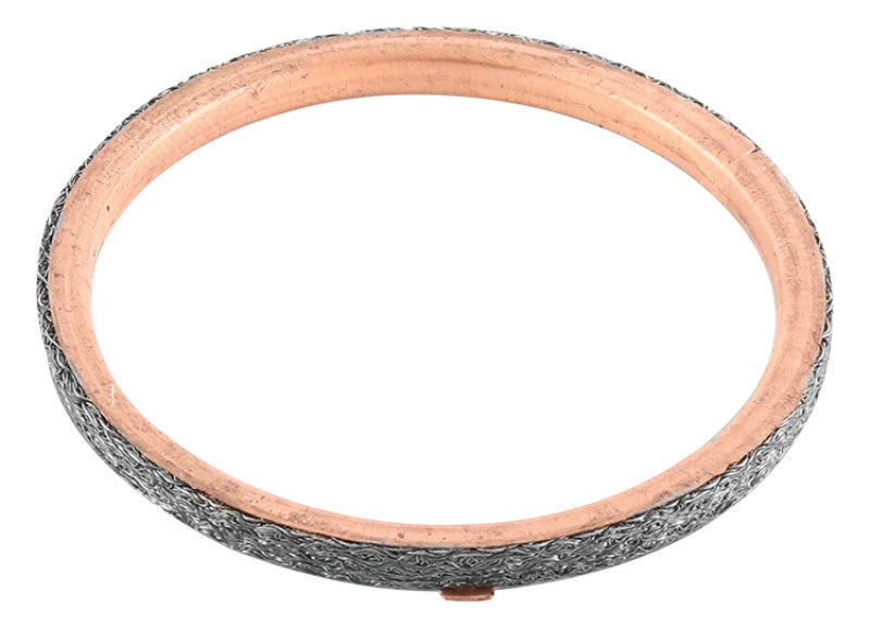 QuadBoss Exhaust Gasket Kit 568948 568948 Photo - Primary