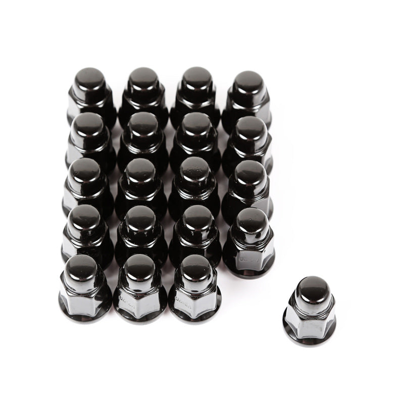 Rugged Ridge Wheel Lug Nut,Set of 20,1/2-20,Black 16715.23 Photo - Primary