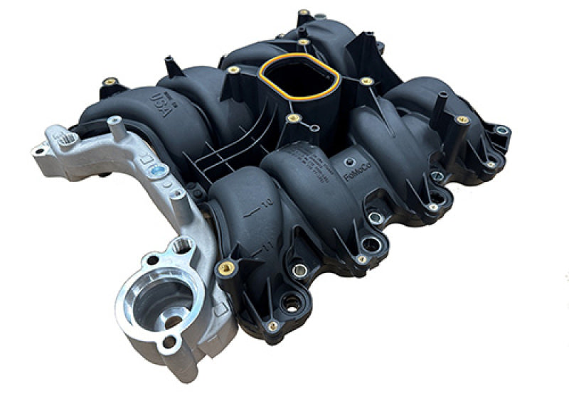 Ford Racing 01-04 Mustang GT 4.6L SOHC 2V Perf Improvement Intake Manifold (Req Manifold Gasket Set) M-9424-P46A M-9424-P46A User 1