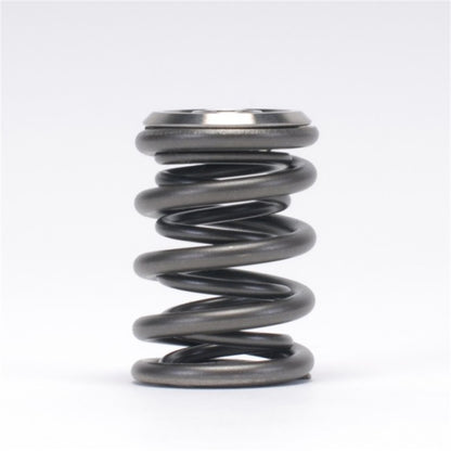 Skunk2 Alpha Series Titanium Valve Spring & Retainer Kit Honda K20 K24 344-05-1410 Photo - Unmounted