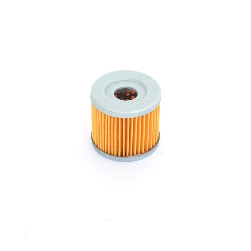 Athena 83-87 Suzuki LT Quadrunner 125 Oil Filter FFC003 FFC003 Photo - Primary