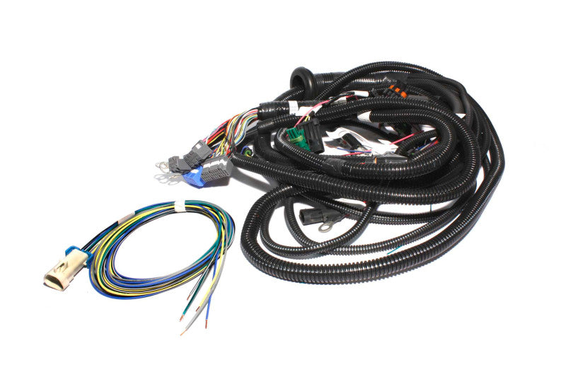 FAST Fuel Management Wiring Harness 301101 Photo - Primary