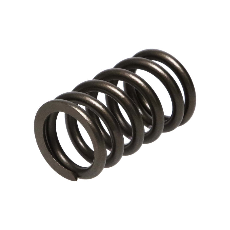 Manley Nissan (SR20DE SR20DET) 16pc Valve Springs 22165-16 22165-16 Photo - out of package