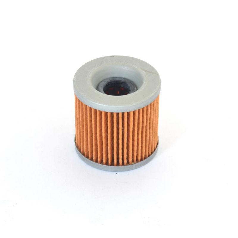 Athena 82-88 Kawasaki KZ A/B Belt/ Bayou 4X4 305 Oil Filter FFC013 FFC013 Photo - Primary