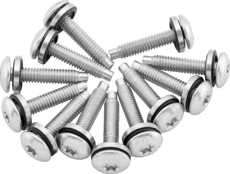 TwinPower Twin Power 04-17 Dyna Models Fuel Pump Plate Screw Kit Replaces H-D 1311 046269 046269 Photo - Primary