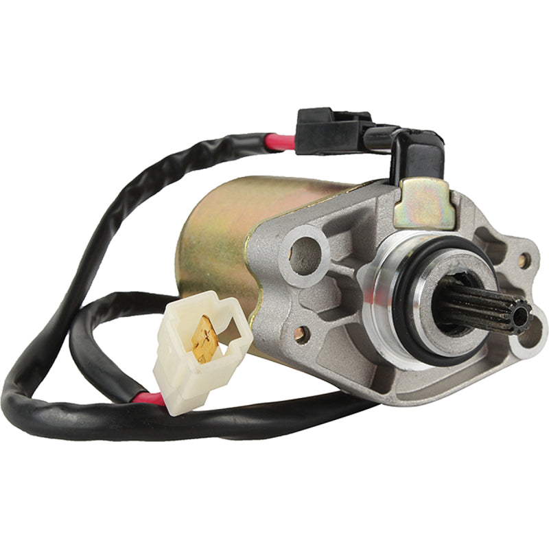 Arrowhead Mitsuba 12V 10T Str. 410-54236 410-54236 Photo - Primary
