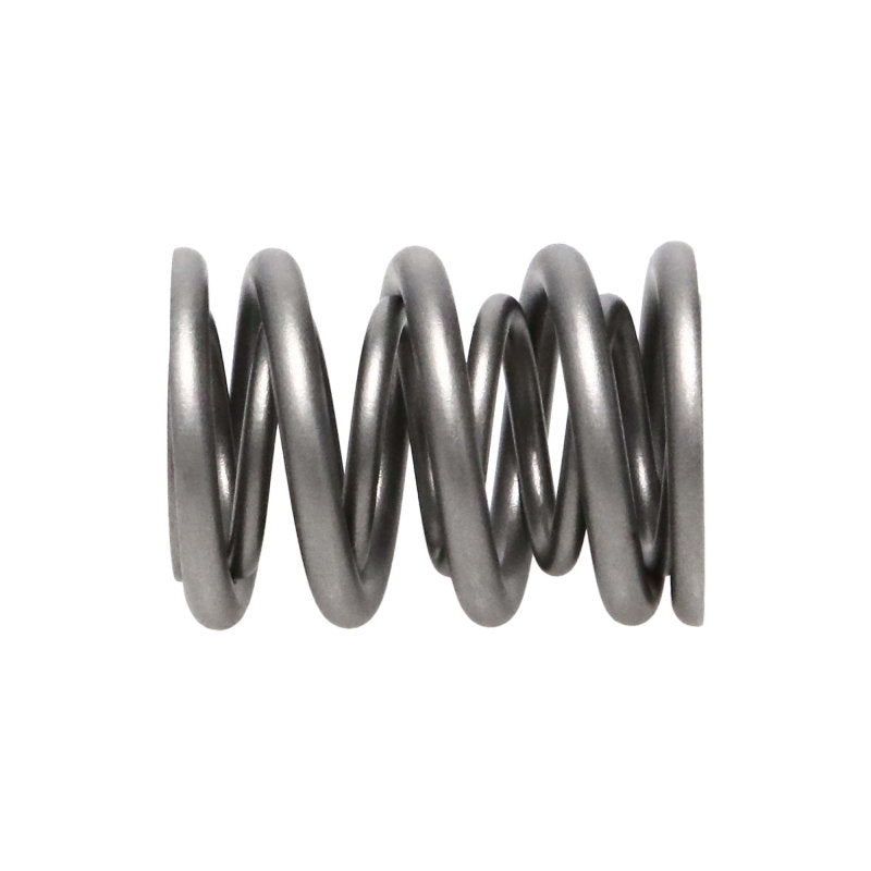 Manley Nissan (KA24DE) 16pc Valve Springs 22160-16 22160-16 User 2