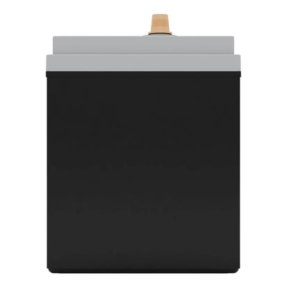 Fullriver Battery Vehicle Battery FT1100-31