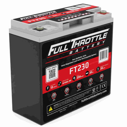 Fullriver Battery Vehicle Battery FT230