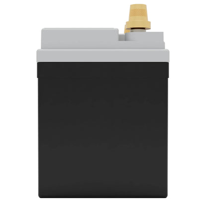 Fullriver Battery Vehicle Battery FT438-U1R