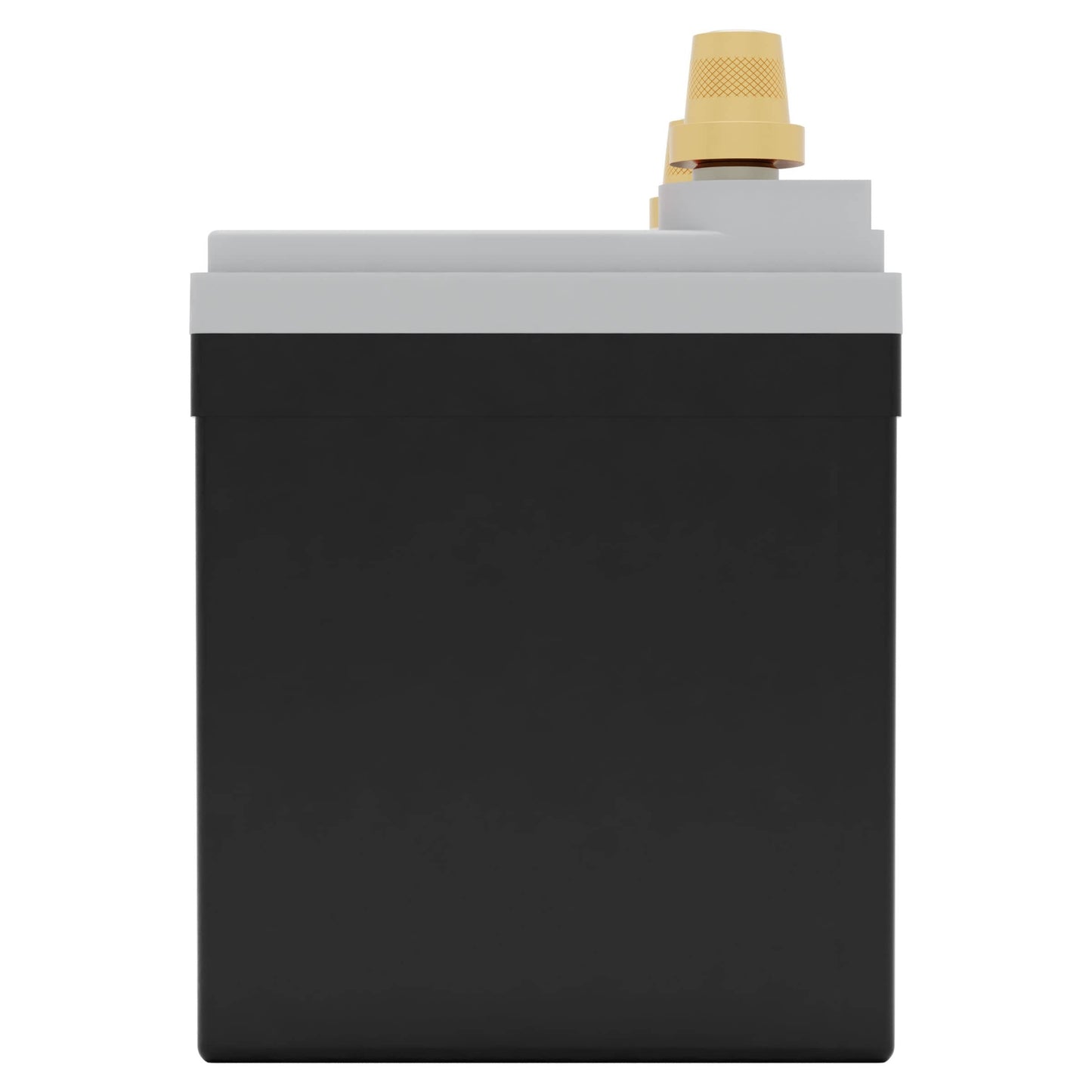 Fullriver Battery Vehicle Battery FT438-U1