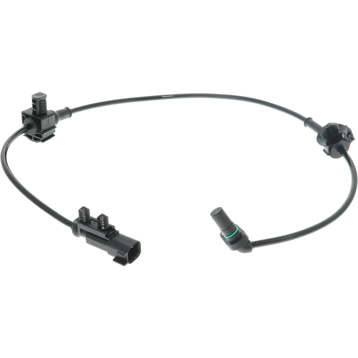 Holstein 2ABS3344 image 3