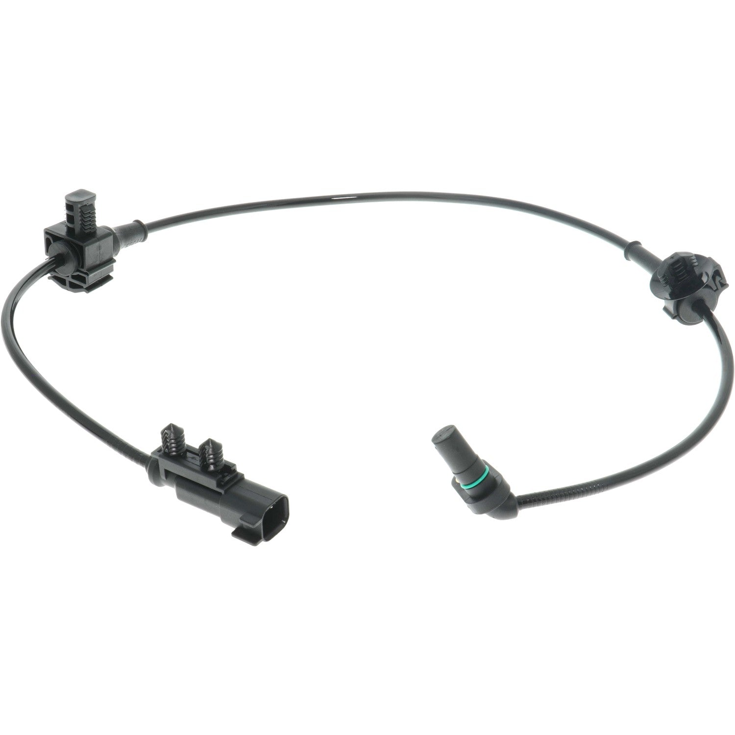Holstein 2ABS3344 image 3
