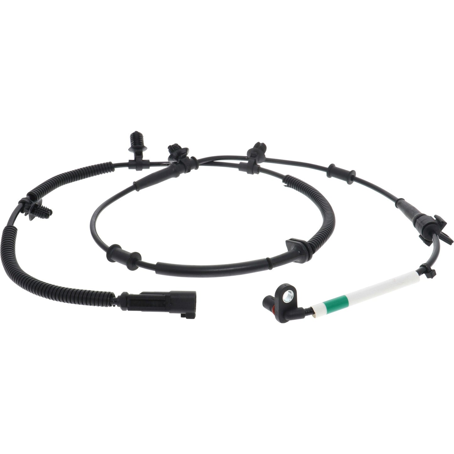 Holstein 2ABS4391 image 3