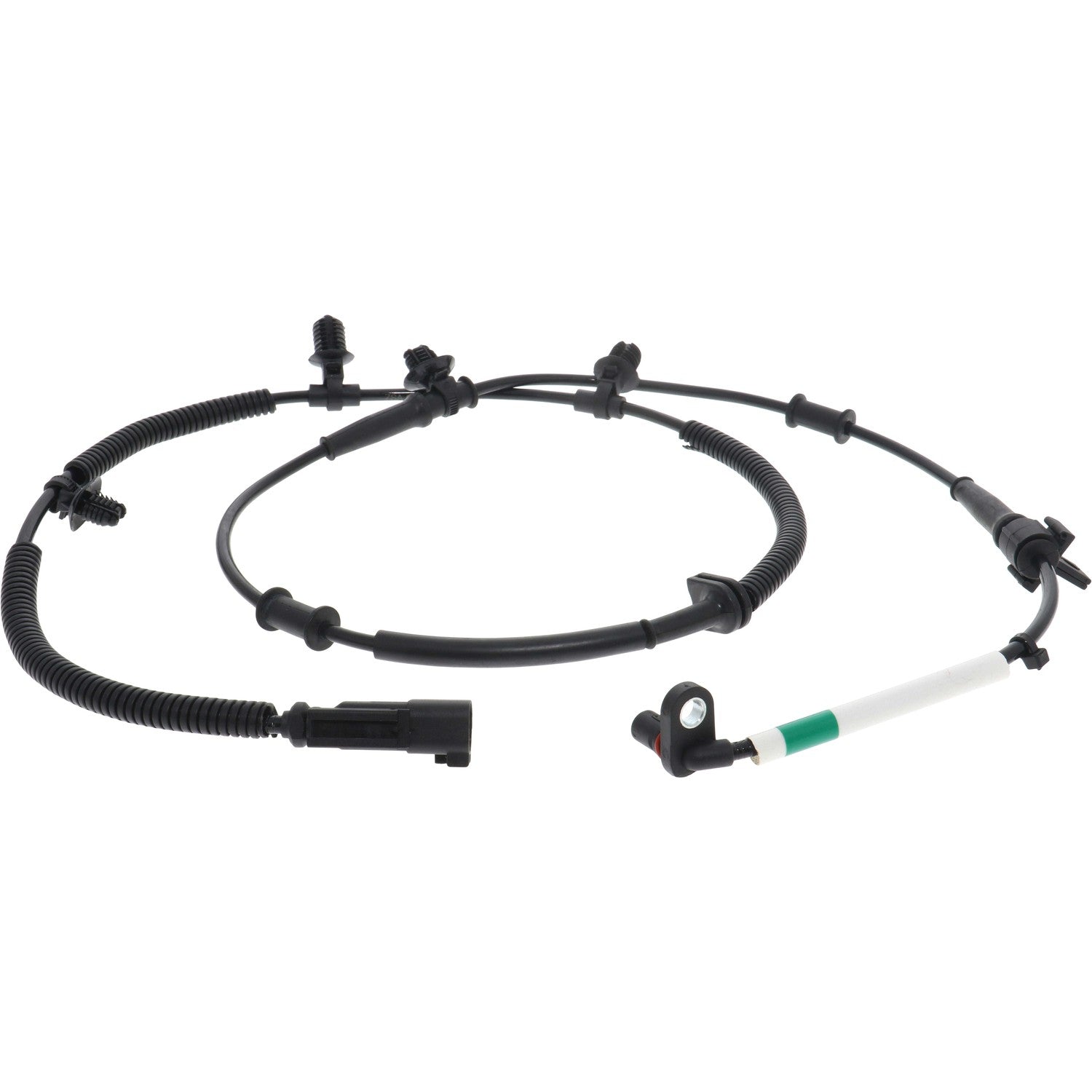Holstein 2ABS4391 image 3
