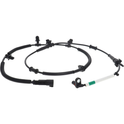 Holstein 2ABS4391 image 3