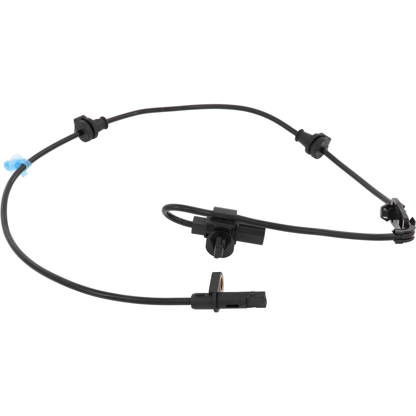 Holstein 2ABS4472 image 3