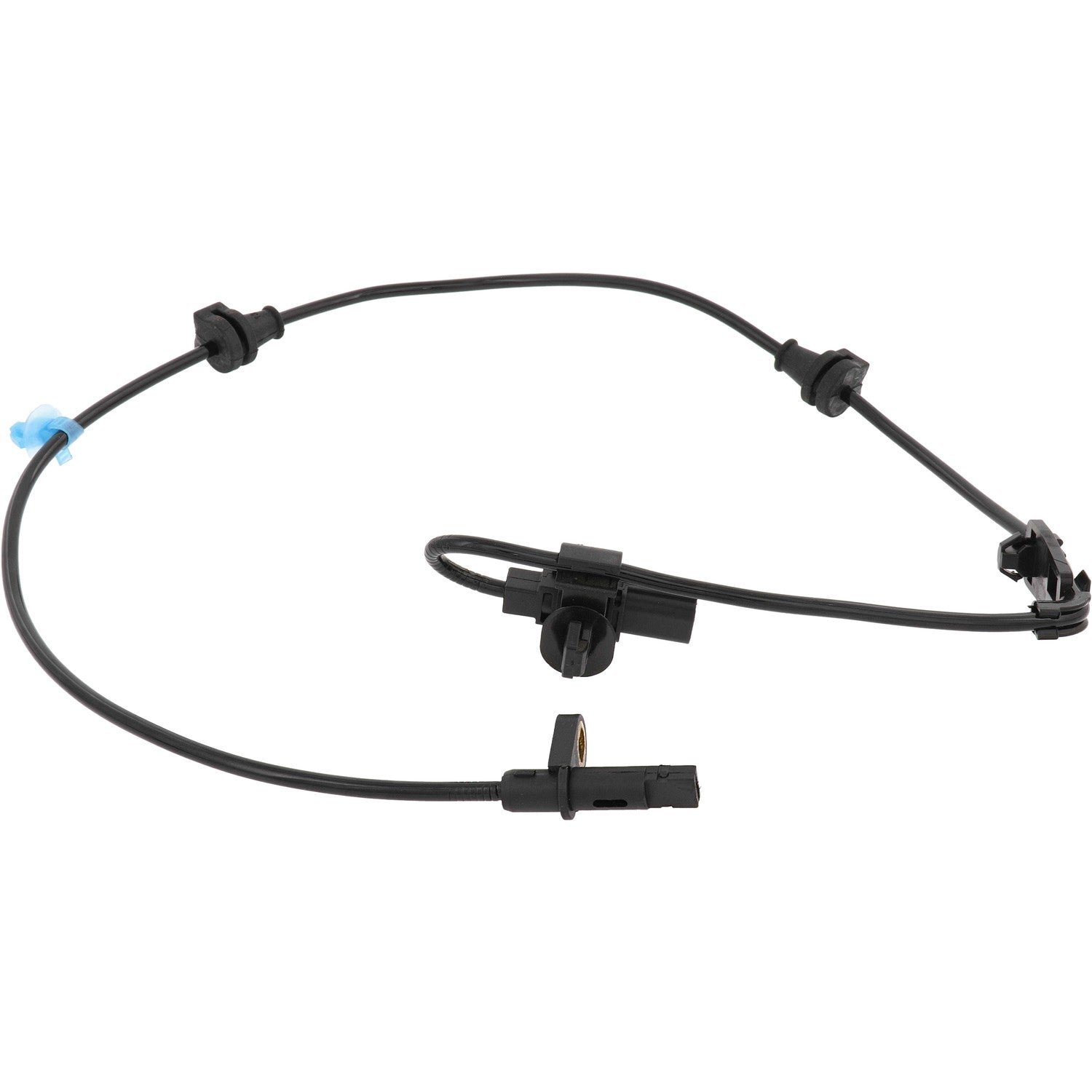 Holstein 2ABS4472 image 3