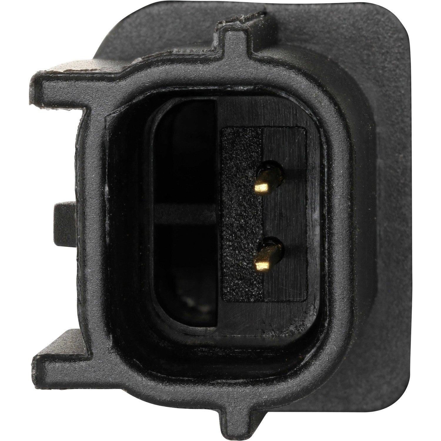 Holstein 2ABS4482 image 3