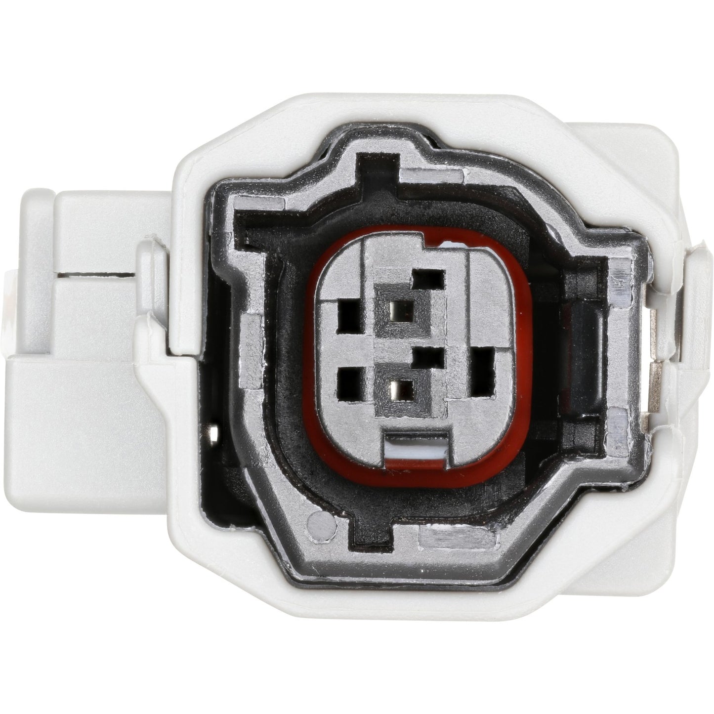 Holstein 2ABS4843 image 3