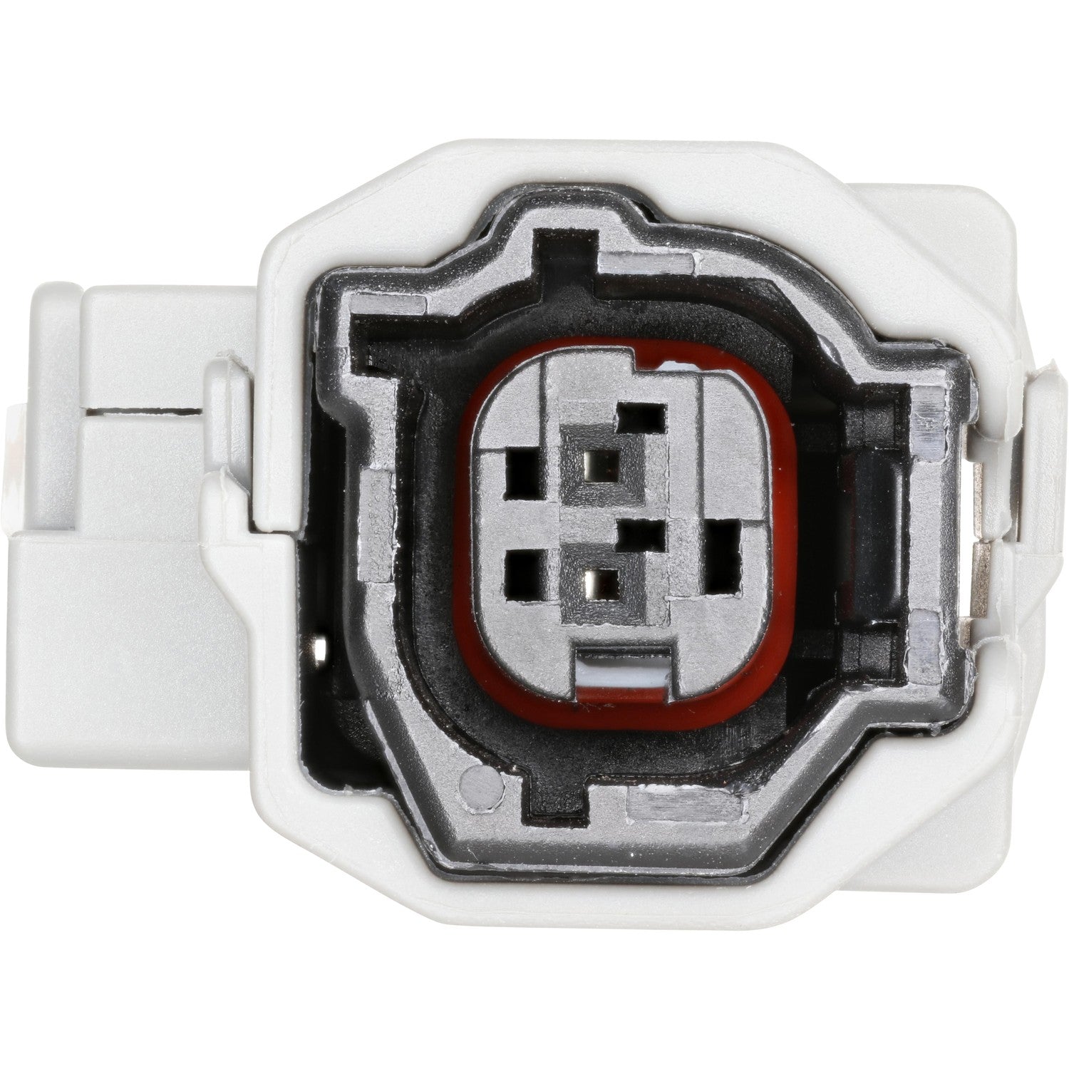 Holstein 2ABS4843 image 3