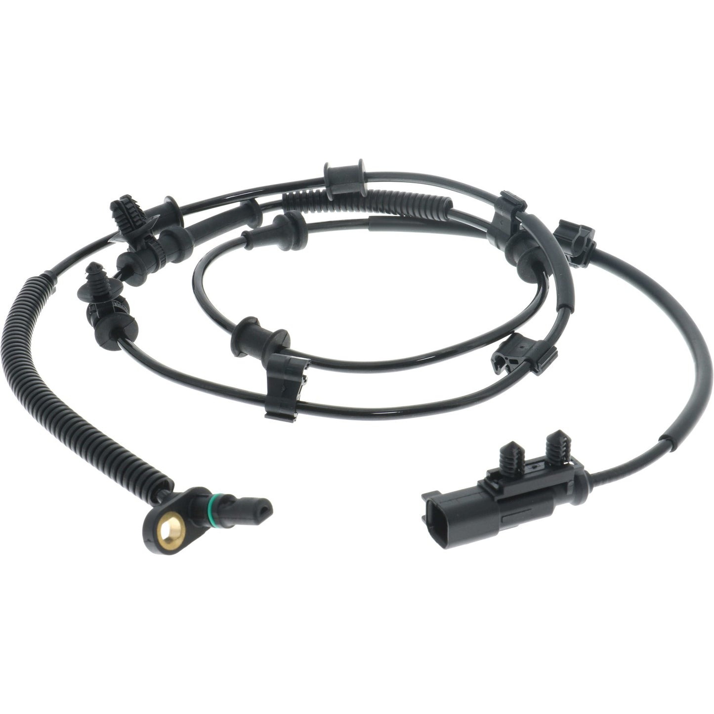 Holstein 2ABS5252 image 3